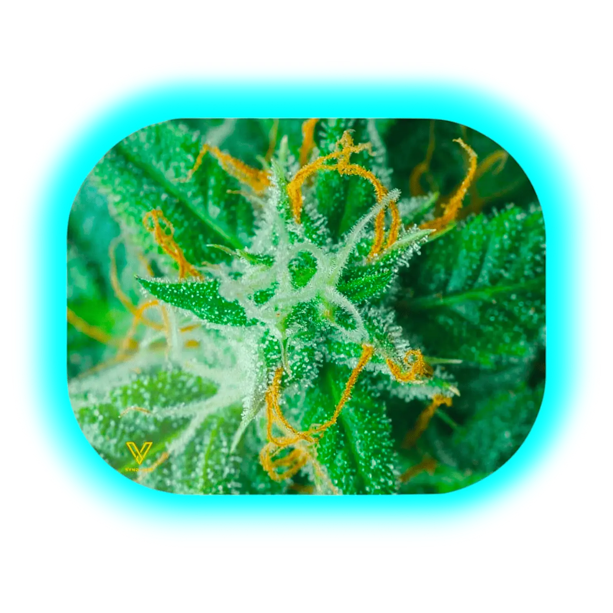 V Syndicate Mag Slap S AK47 140 x 180mm