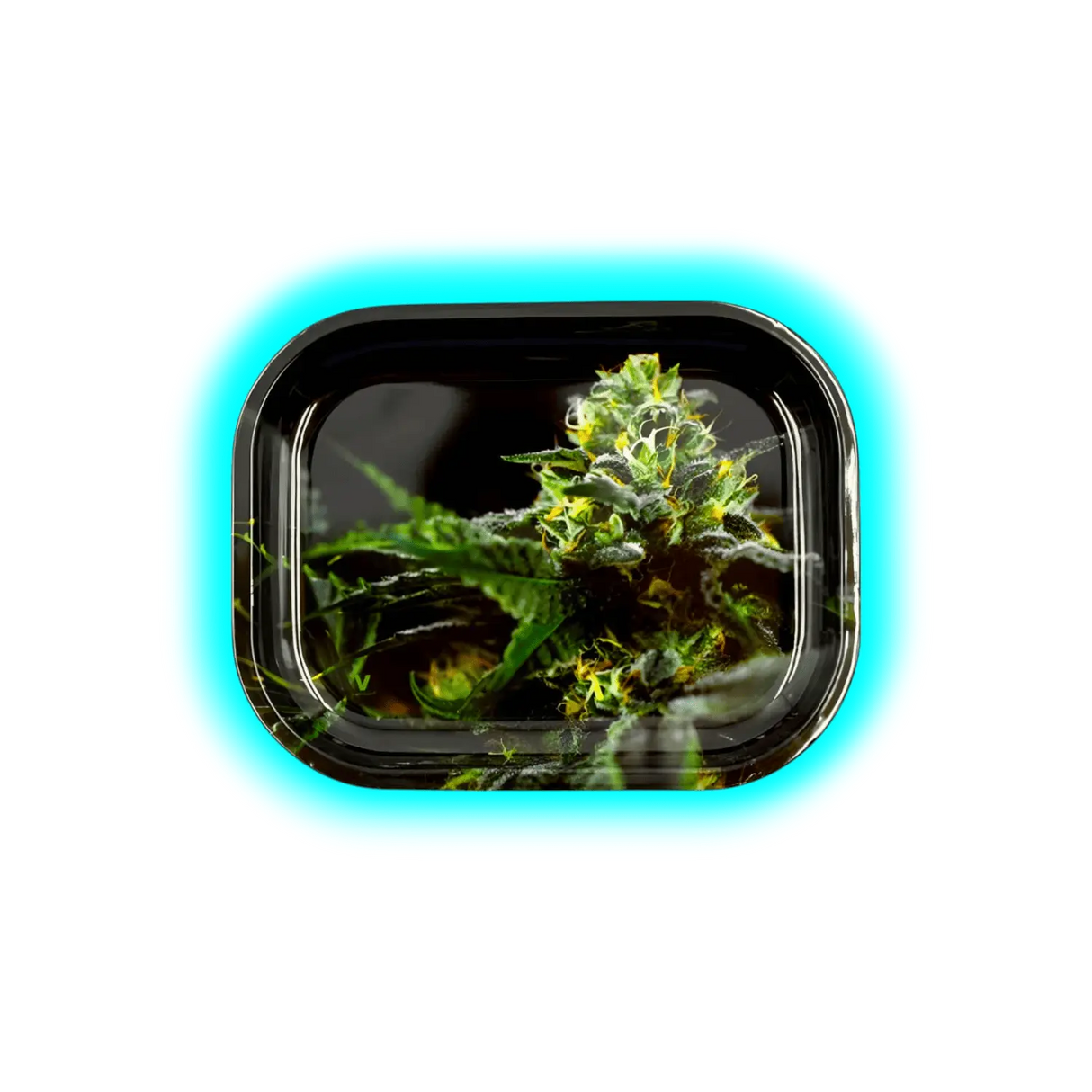 V-Syndicate Rolling Tray S Strain O.G. Kush 140 x 180mm
