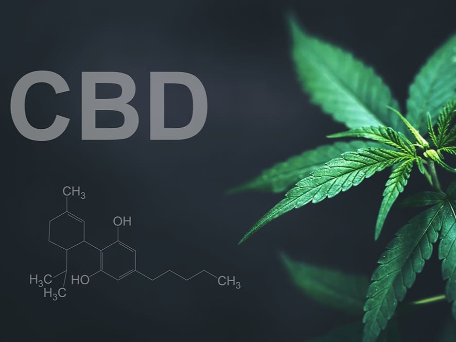 Was ist CBD? Cannabis Blog