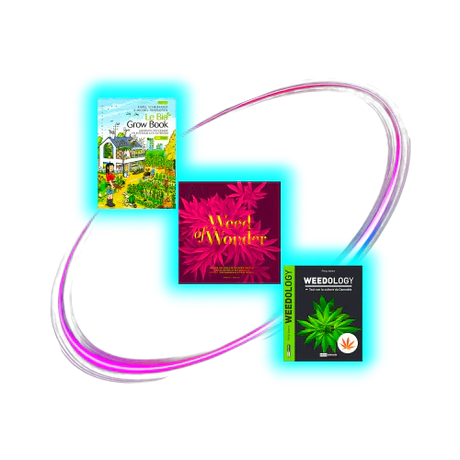 Internationale Bücher & Ratgeber