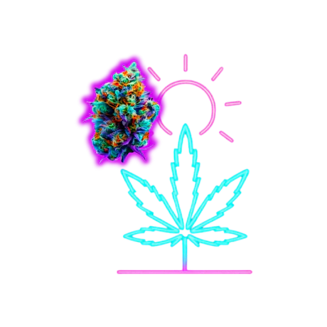 Outdoor CBD Blüten
