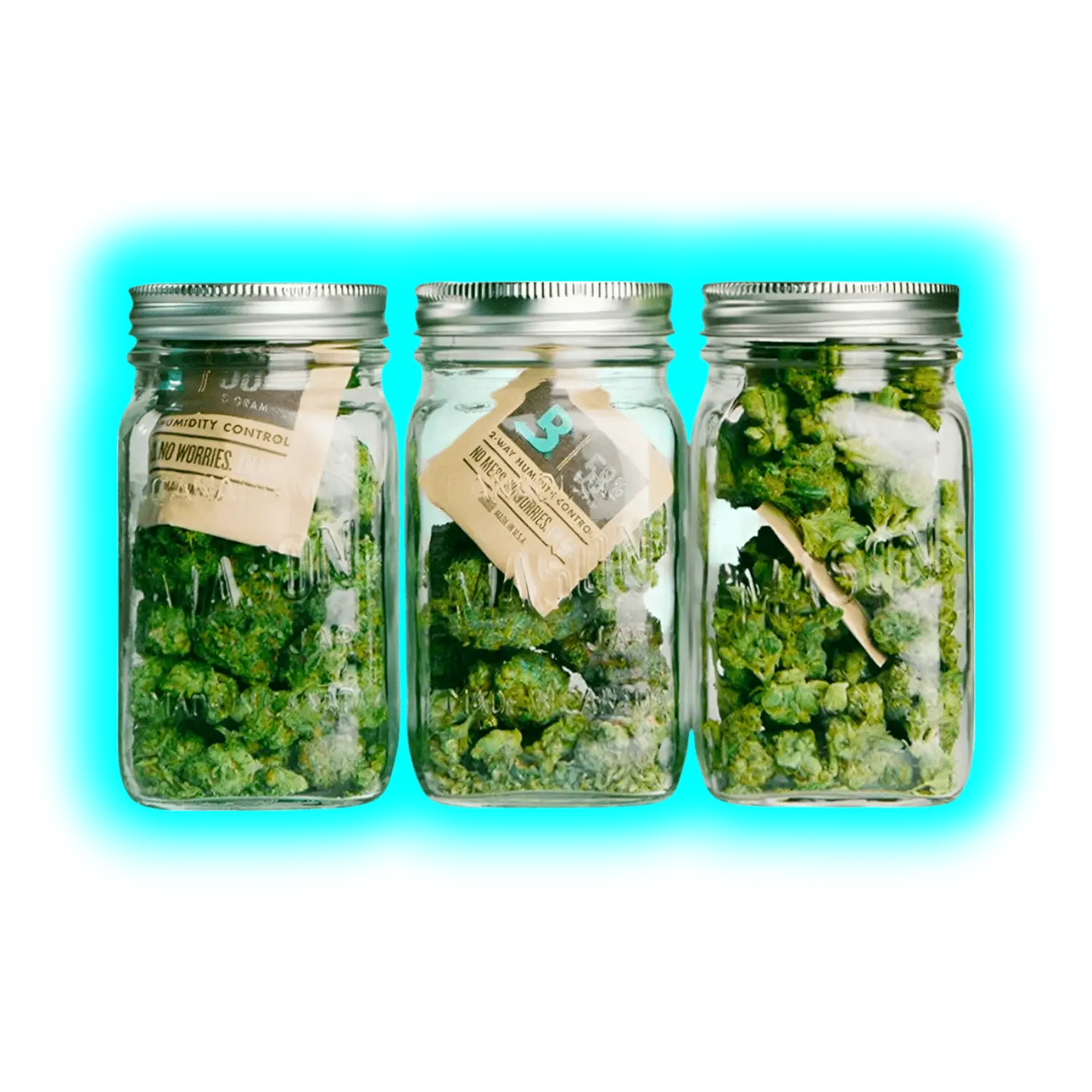 10x Boveda Over Wrapped 58% Humidy Pack 8g