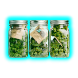 10x Boveda Over Wrapped 62% Humidy Pack 8g
