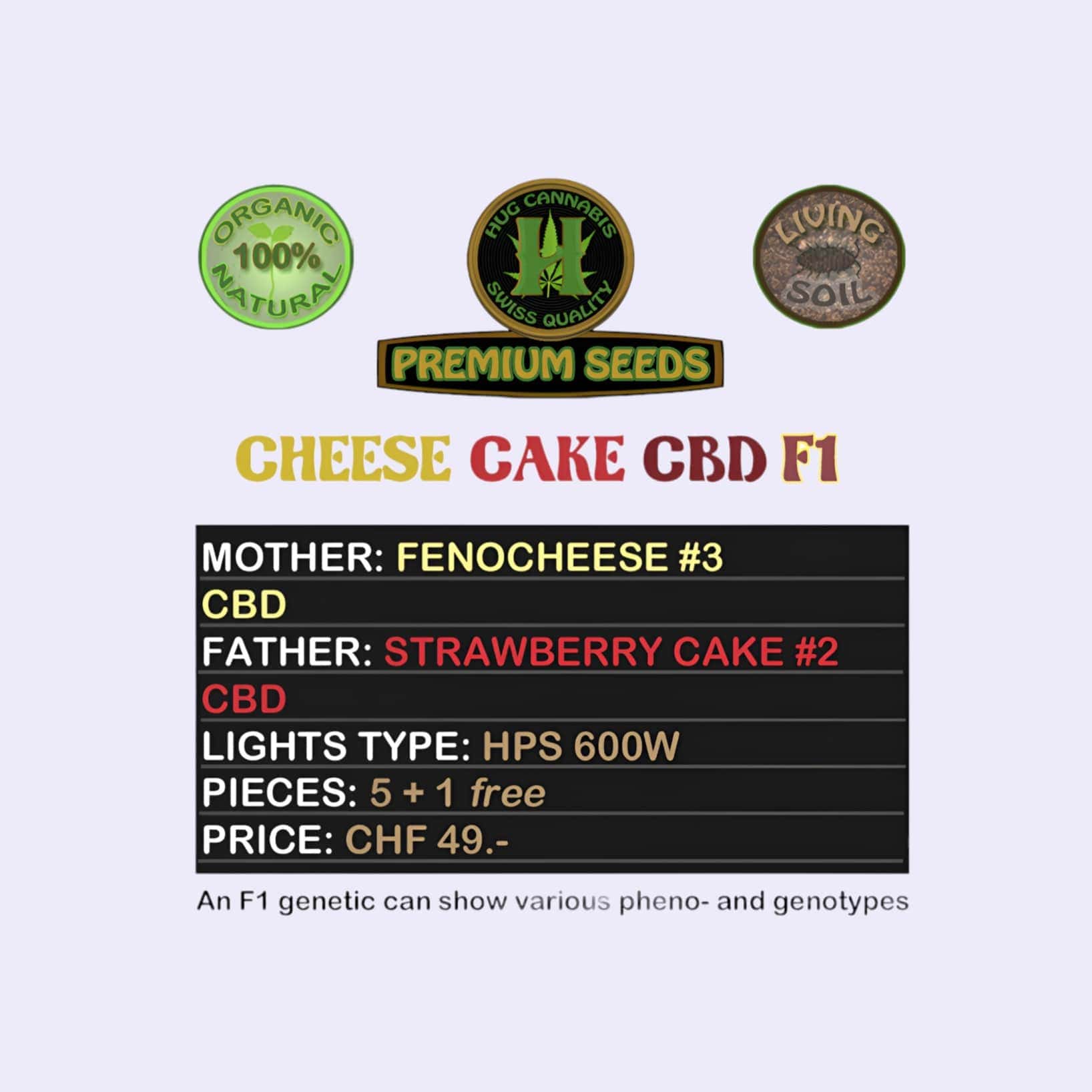 Dieses Bild zeigt die CBD Hanfsamen Cheese Cake CBD F1 5 Seeds + 1 Free von der Firma Hug Cannabis