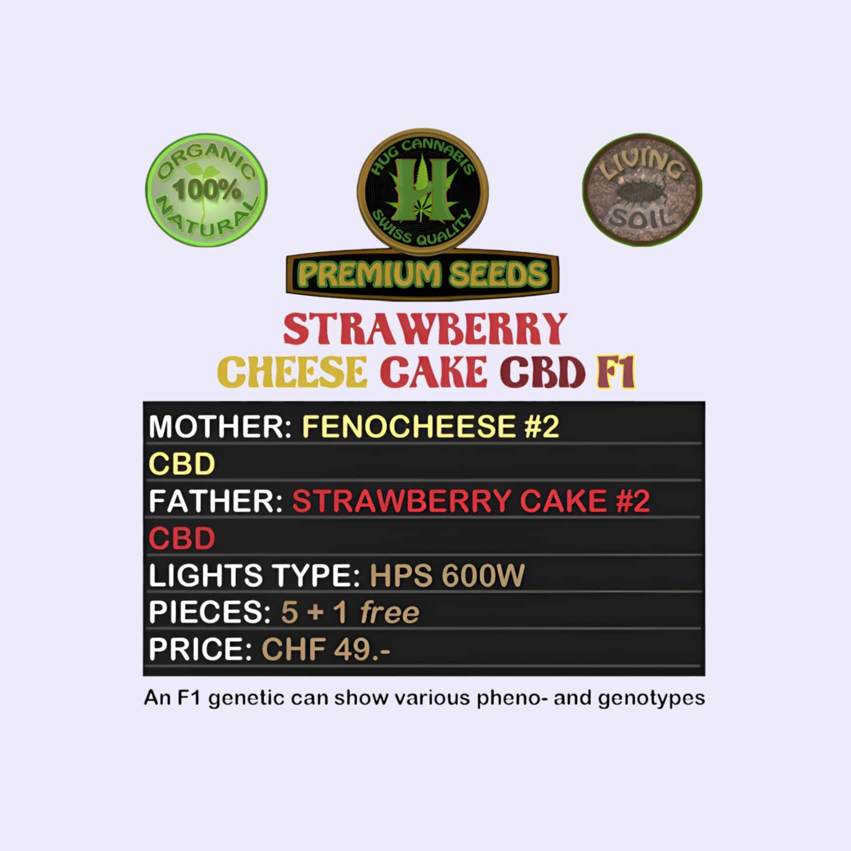 Dieses Bild zeigt die CBD Hanfsamen Strawberry Cheese Cake CBD F1 5 Seeds + 1 Free von der Firma Hug Cannabis