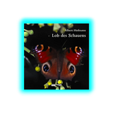 A. Hofmann Lob des Schauens