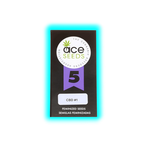 ACE SEEDS CBD 1