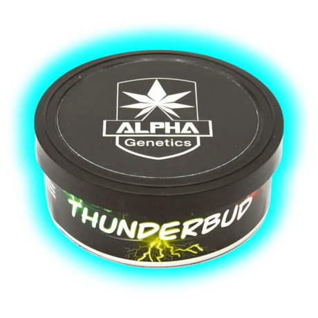 Alpha Genetics Thunderbud Seeds 5pcs