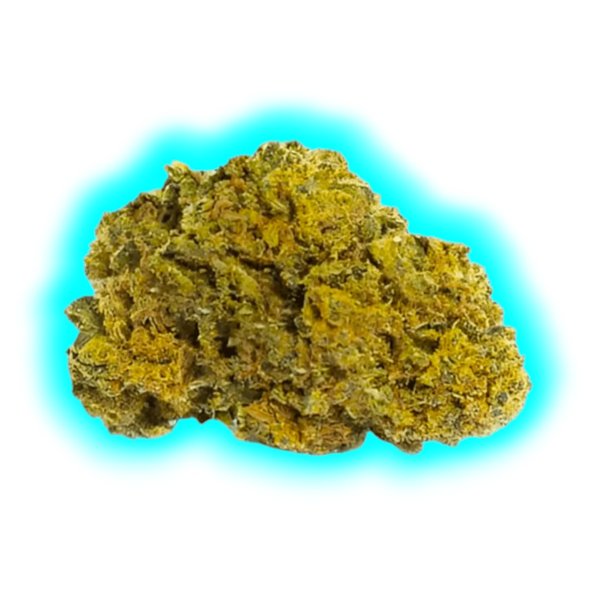 Nahaufnahme eines kompakten CBD-Blütenknospen mit kristalliner Oberfläche