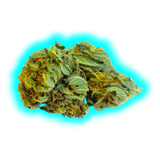 Nahaufnahme eines getrockneten CBD-Blütenknospen mit sichtbaren Blättern und Trichomen