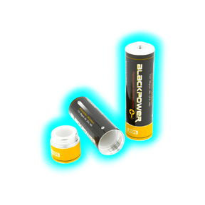 Batterie Atrappe AA LR6