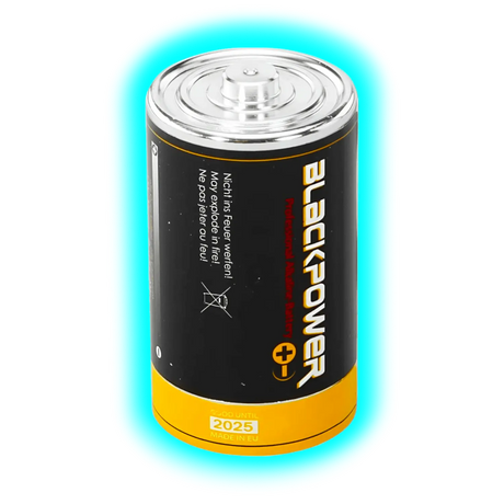 Batterie Attrappe Mono Typ D