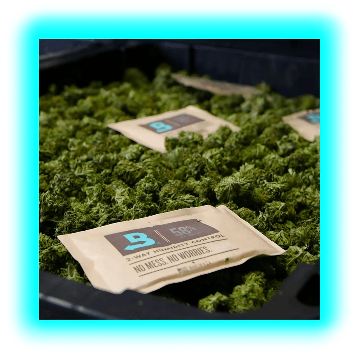 Boveda Over Wrapped 58% Humidy Pack 67g 100pcs