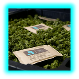 Boveda Over Wrapped 62% Humidy Pack 67g 100pcs