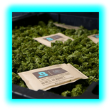 Boveda Over Wrapped 62% Humidy Pack 67g