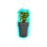 Buddies Flower Pot Safe