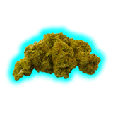 Hochauflösendes Foto eines kompakten CBD-Buds. Fokus auf die unregelmäßige Form und die frostige Schicht aus Trichomen.