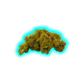 Nahaufnahme eines einzelnen CBD-Blütenknospen mit kompakter, unregelmäßiger Form und sichtbaren Trichomen