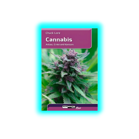 Cannabis Anbau Ernte und Konsum