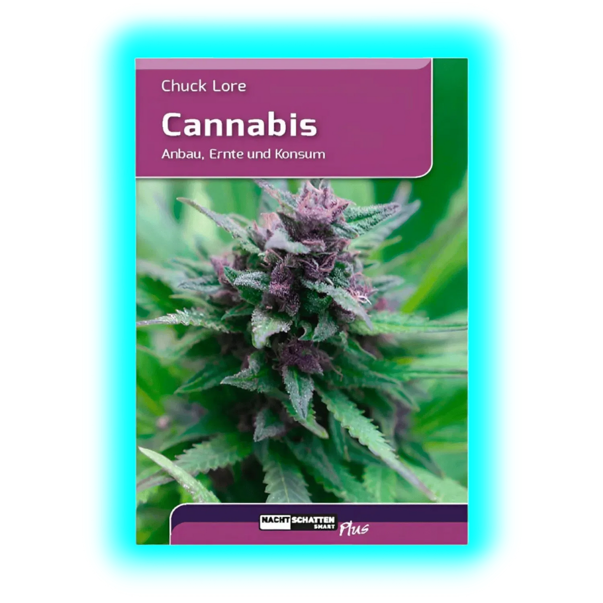 Cannabis Anbau Ernte und Konsum