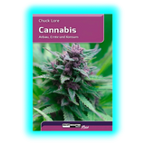 Cannabis Anbau Ernte und Konsum