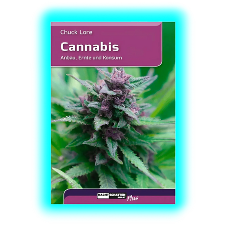 Cannabis Anbau Ernte und Konsum