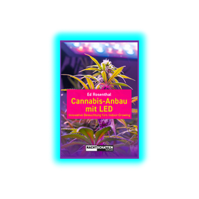 Cannabis-Anbau mit LED. Innovative Beleuchtung fürs Indoor-Growing