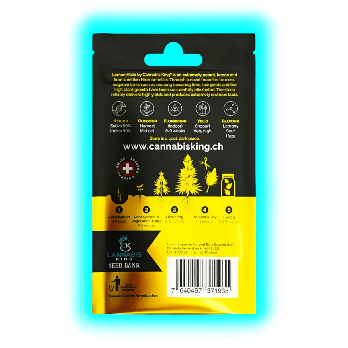 Cannabis King Blueberry Kush Seeds 3pcs