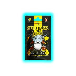Cannabis King Critical Jack Seeds 3pcs