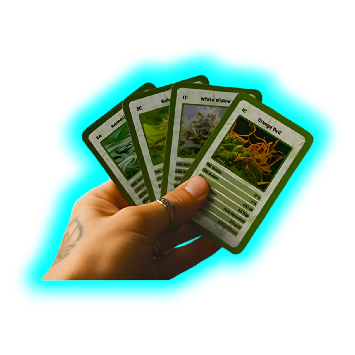 Cannabis Quartett 420 Cards