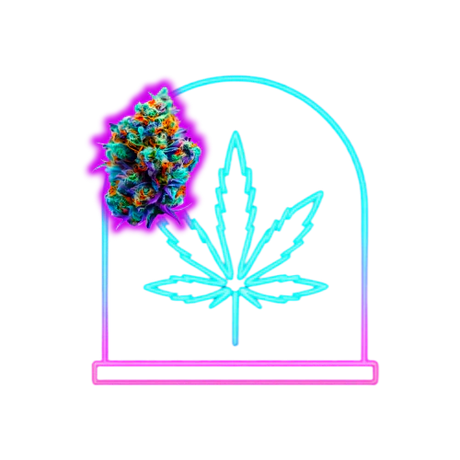 CBD Blüten aus Treibhaus Anbau mit ausgewogenem Licht und Schutz für stabile Qualität und natürliche Entwicklung