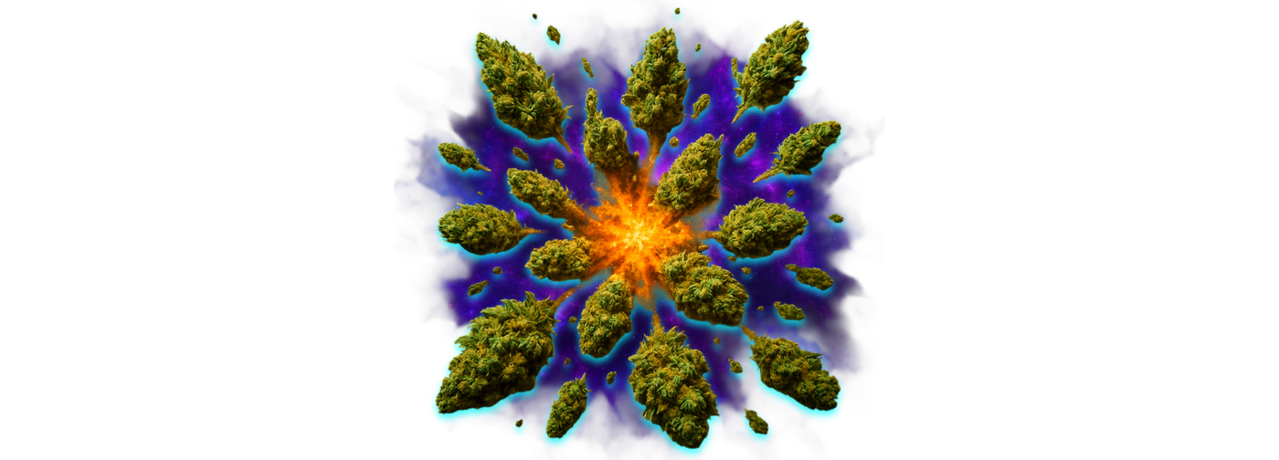 CBD Blüten kaufen Schweiz – Schweizer Premium Hanfblüten