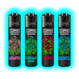 Clipper 4er CC Strainz 3 488-491