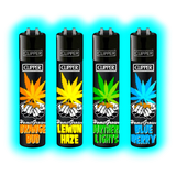 Clipper 4er Home Grow 746-749