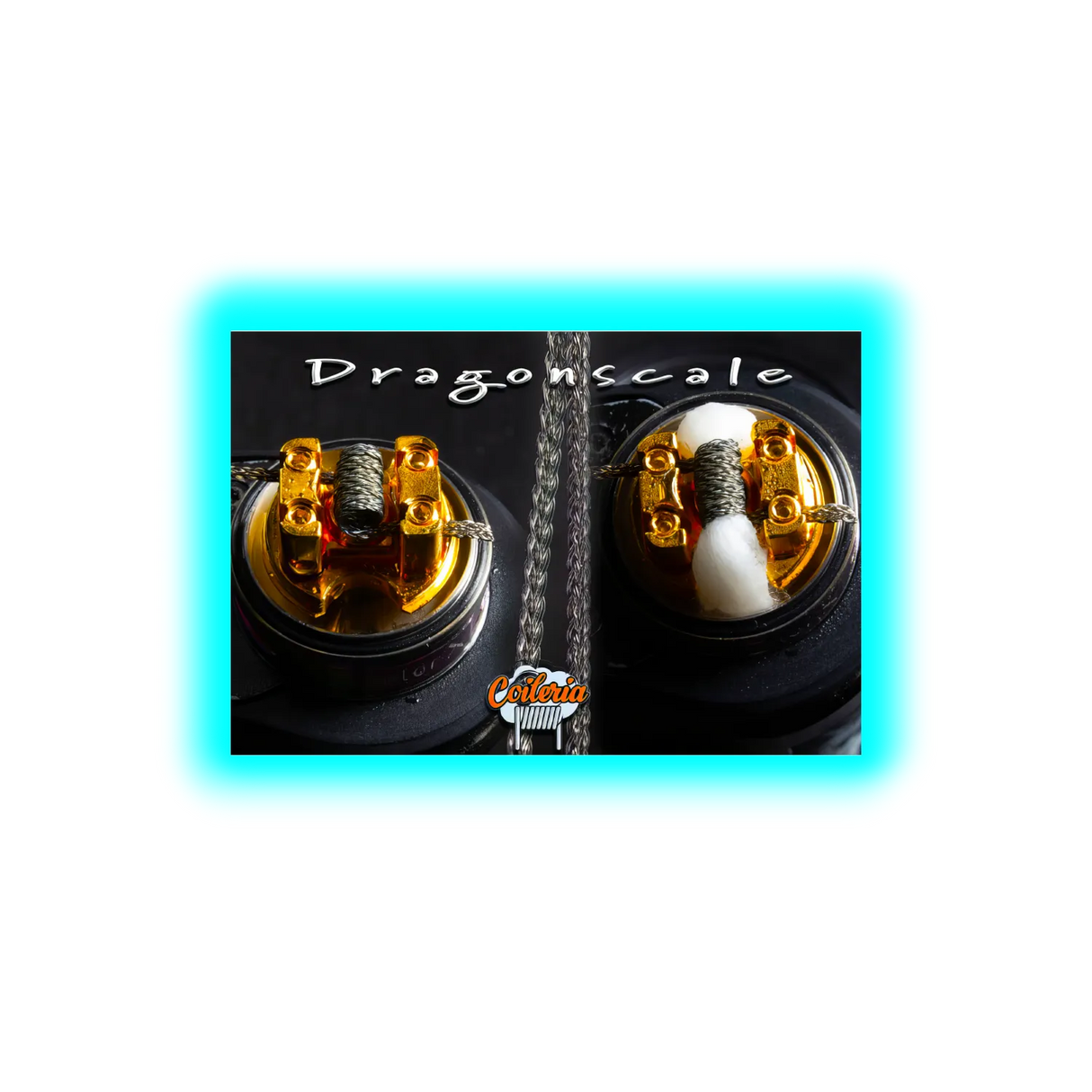 Coileria Dragonscale-Braid, Edelstahl