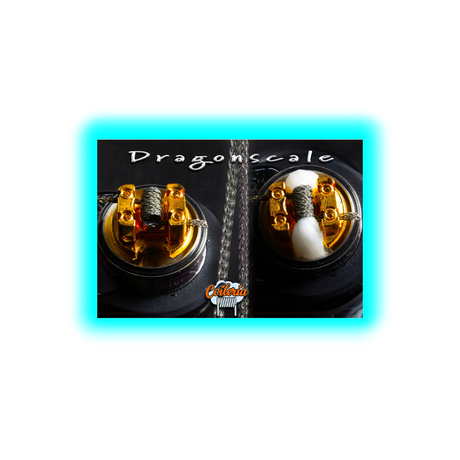 Coileria Dragonscale-Braid, Edelstahl