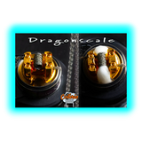 Coileria Dragonscale-Braid, Edelstahl