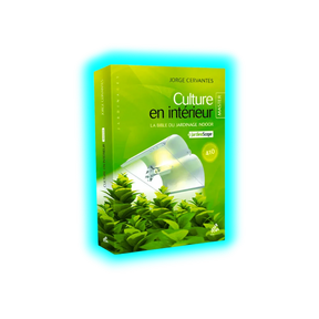 Culture en interieur Master Edition