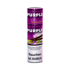 Cyclones Purple 2 in 1 Tube