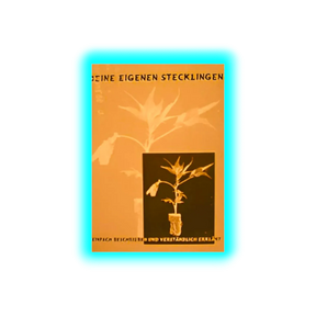 Deine eigenen Stecklinge