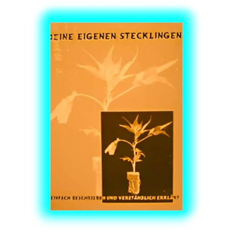 Deine eigenen Stecklinge