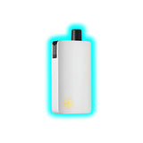 dotMod dotPod Max Silver