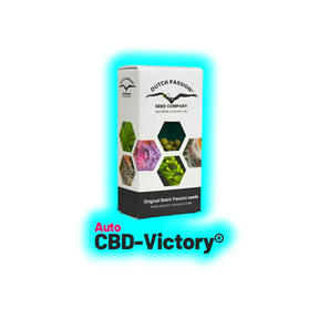 Dutch Passion Auto CBD Victory 3pcs