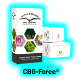 Dutch Passion CBG Force 3pcs