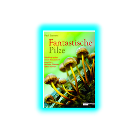 Fantastische Pilze