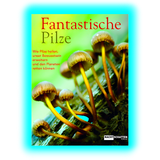 Fantastische Pilze