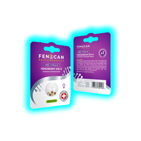 Fenocan Fenoberry CBD Samen 10Stk