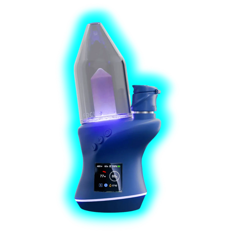 Focus V Carta2 Blue