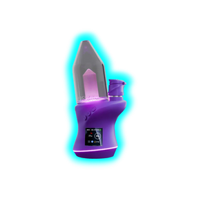 Focus V Carta2 Grape