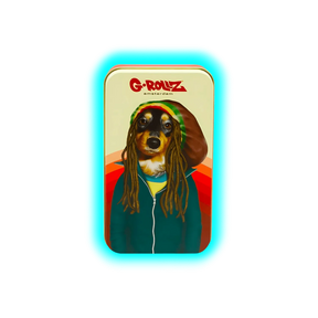 G-Rollz | Pets Rock Bobby Storage Box Medium 11.5x6.5x2.3cm